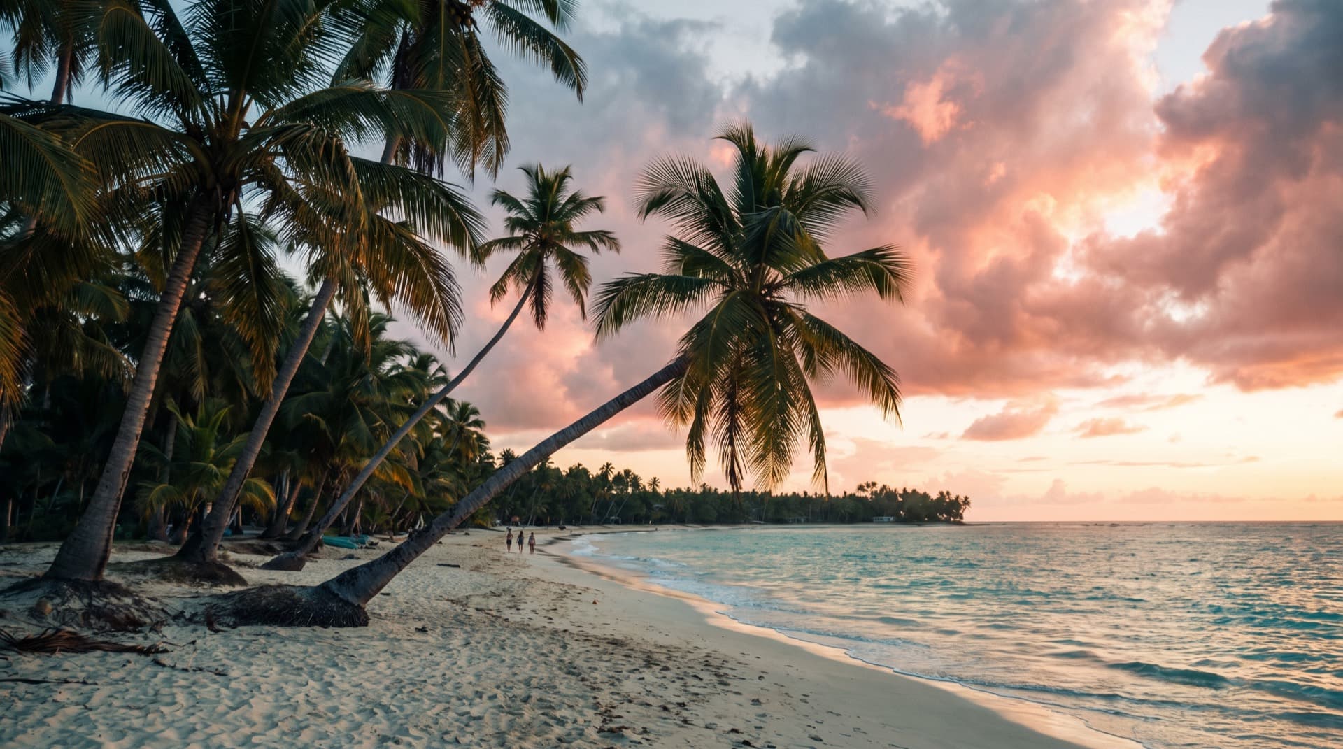 Playa de Las Terrenas al atardecer, con palmeras inclinadas sobre la arena.